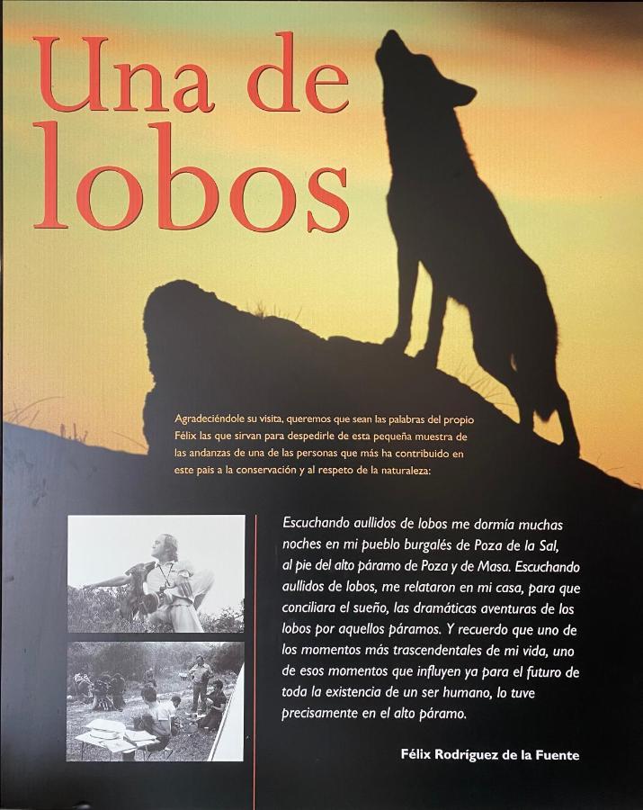 Casa Salionca Villa Poza de la Sal Eksteriør billede